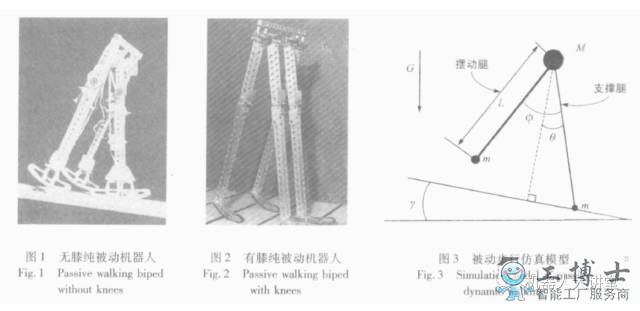 机器人日行十万步却无需（xū）动力（lì）源 完美的机械结（jié）构让（ràng）你开始怀（huái）疑人生