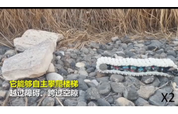 &#24320;&#20113;